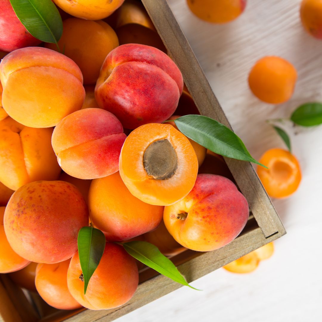 Abricots de la Drome